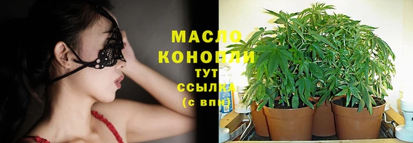 твердый Аркадак