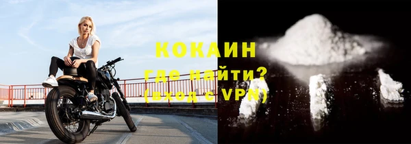 твердый Аркадак