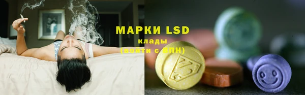 твердый Аркадак