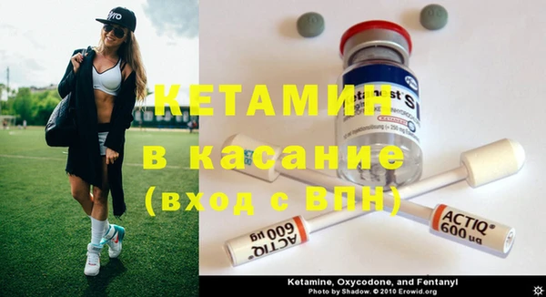 крисы Корсаков